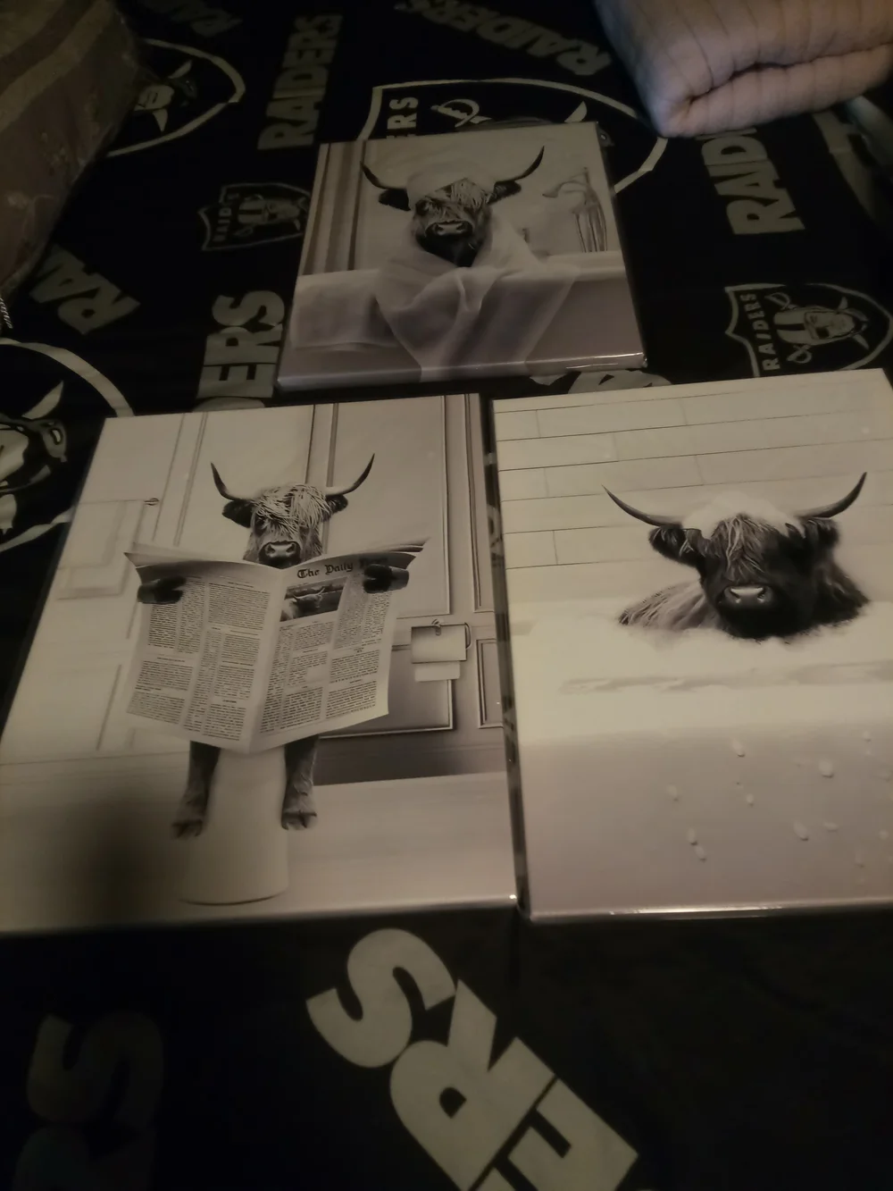 Amazon Black & White Highland Cow Canvas Set - Picture 1 of 1